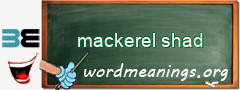 WordMeaning blackboard for mackerel shad